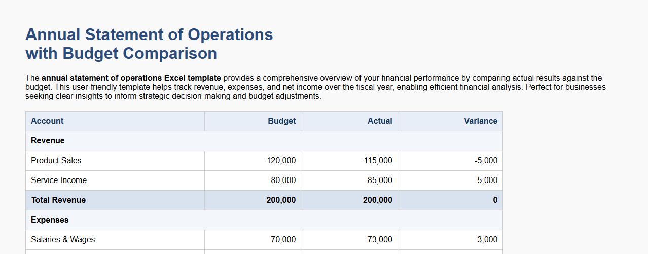 annual statement of operations Excel template with budget comparison image preview