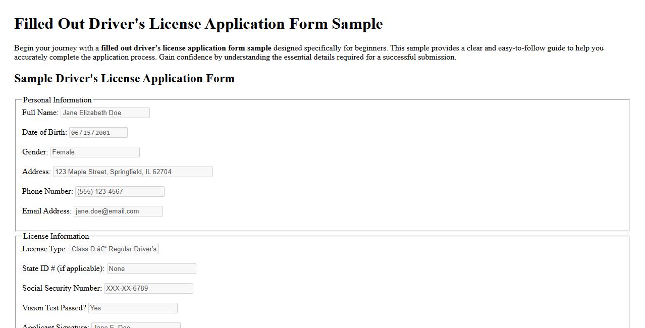 Filled out driver’s license application form sample for beginners image preview