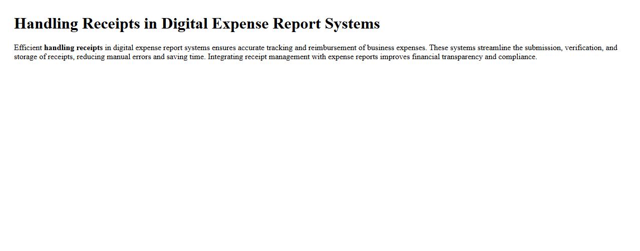 handling receipts in digital expense report systems image preview