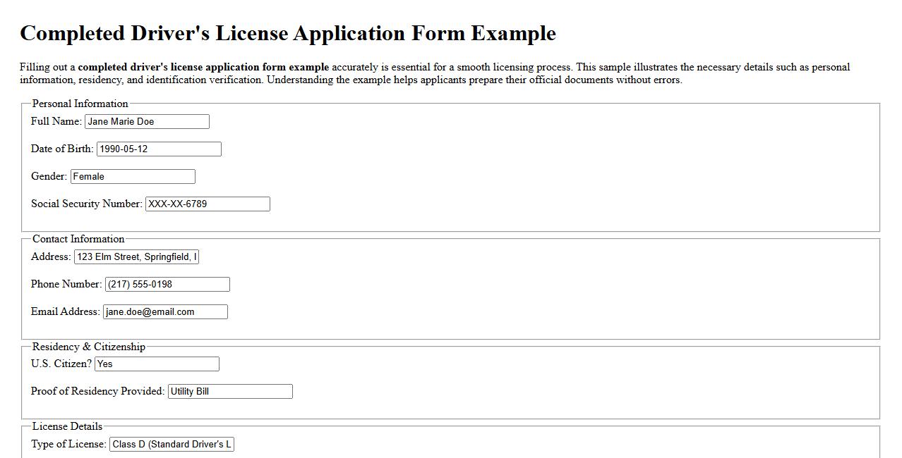 completed driver's license application form example image preview