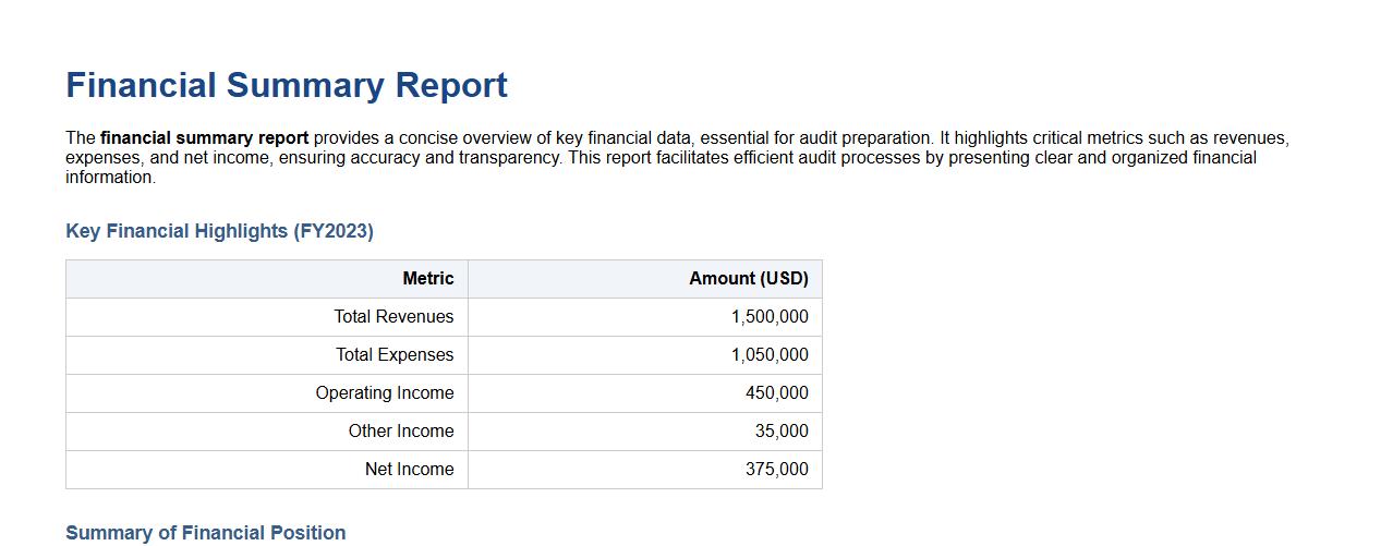 financial summary report for audit preparation image preview