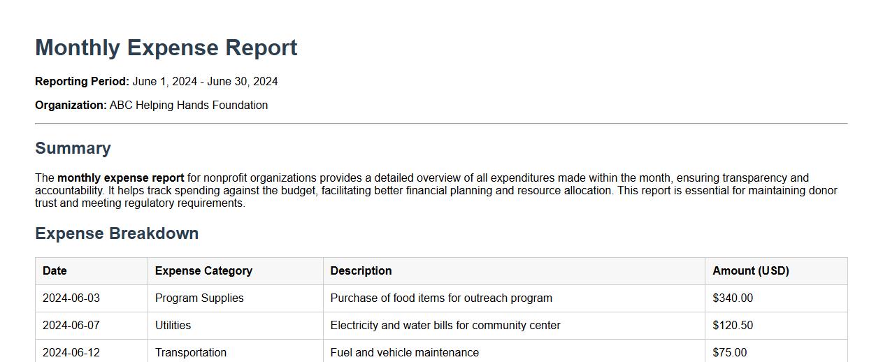 monthly expense report for nonprofit organizations image preview