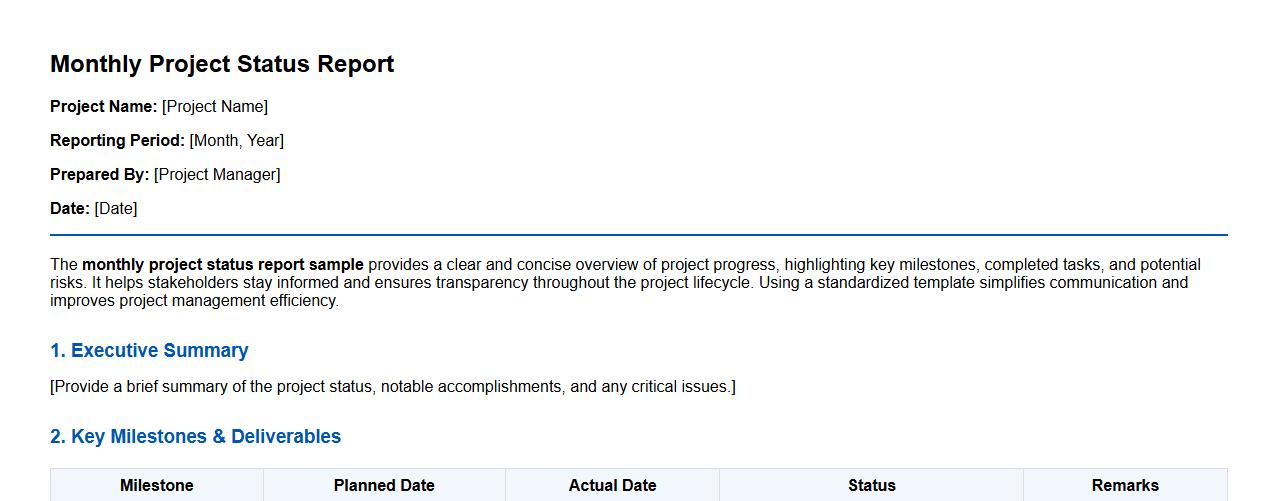 monthly project status report sample image preview