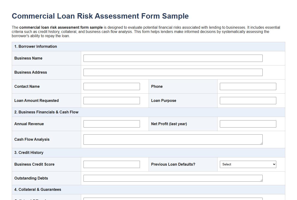 commercial loan risk assessment form sample image preview