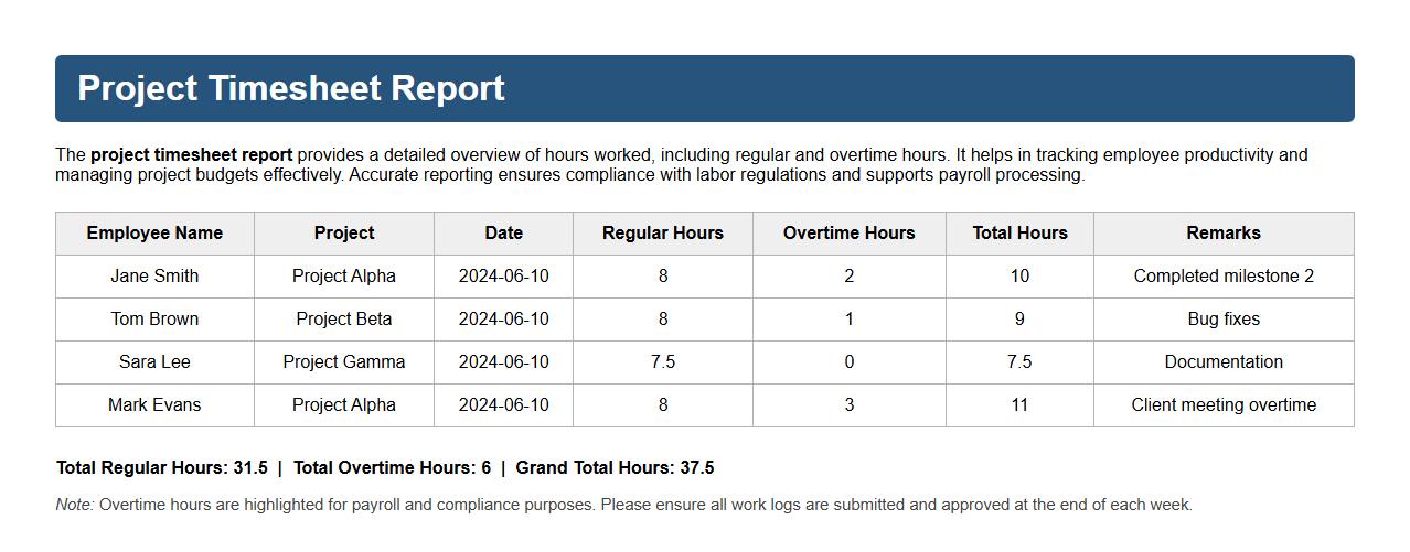 Project timesheet report including overtime hours image preview