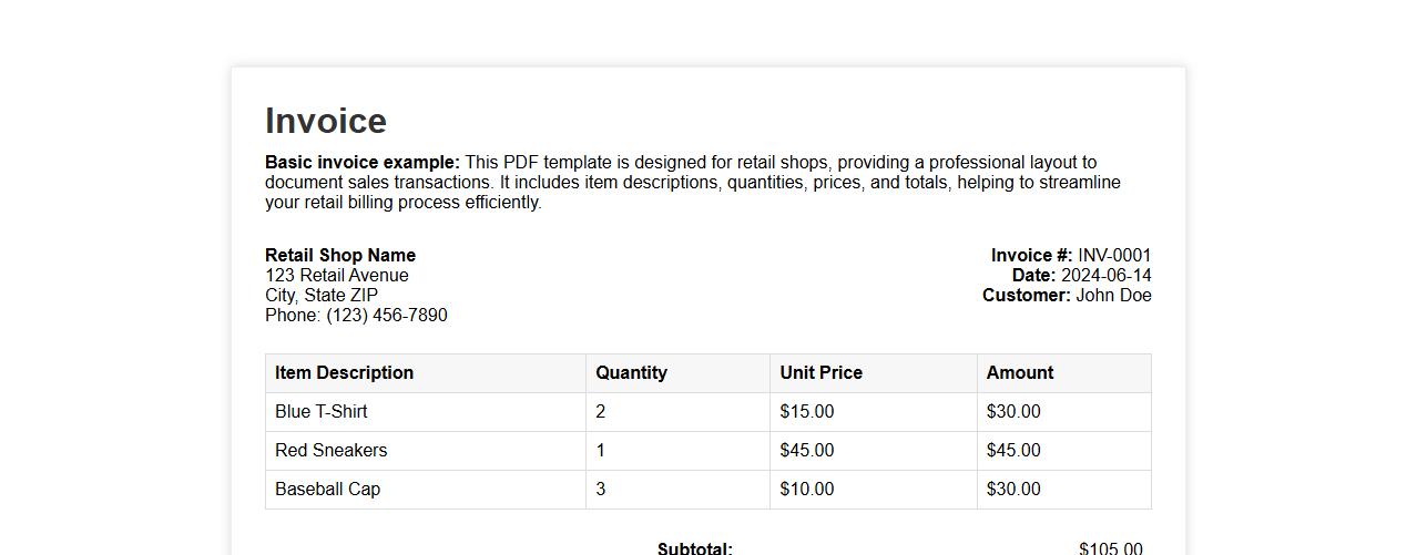 Basic invoice example PDF for retail shop image preview
