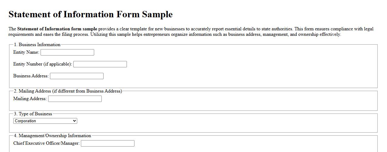 Statement of information form sample for new business image preview