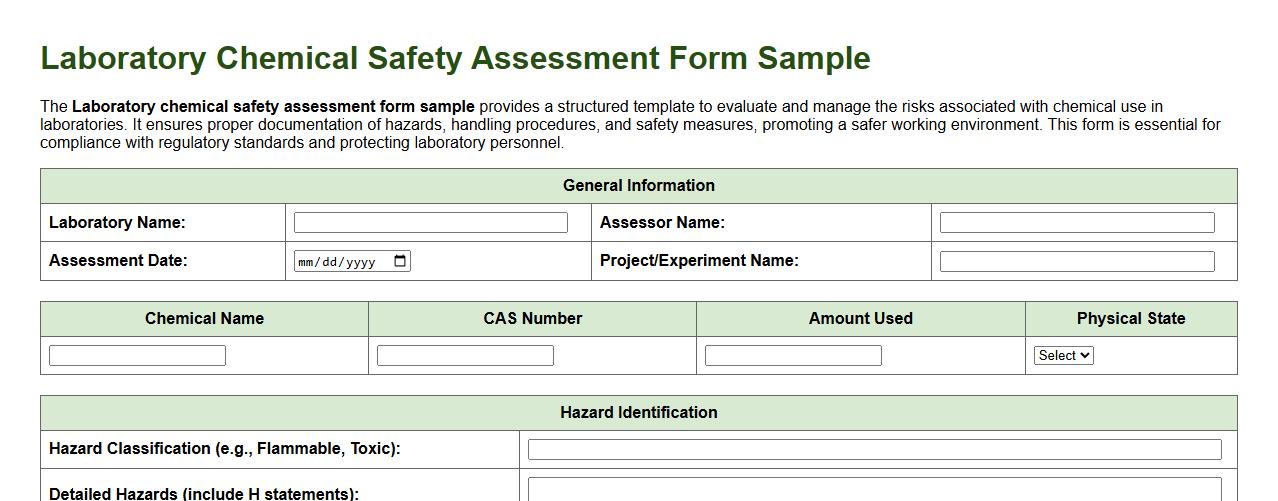 Laboratory chemical safety assessment form sample image preview