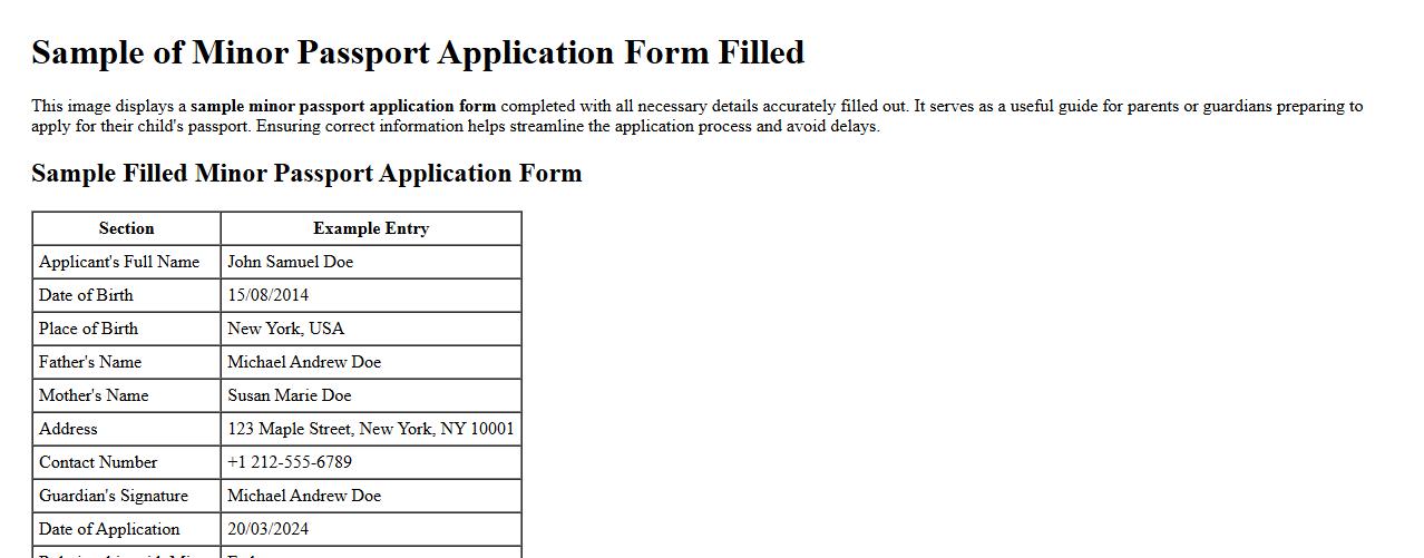 Sample of minor passport application form filled image preview