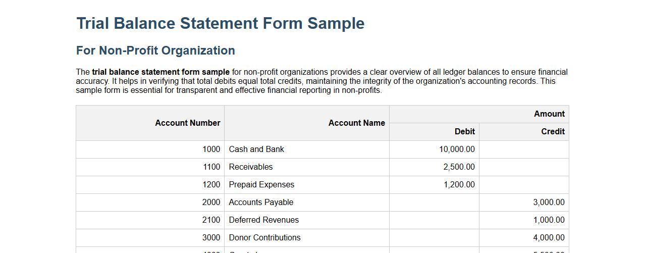 trial balance statement form sample for non-profit organization image preview