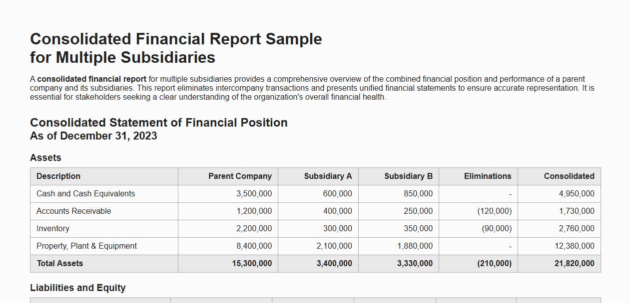 Consolidated financial report sample for multiple subsidiaries image preview