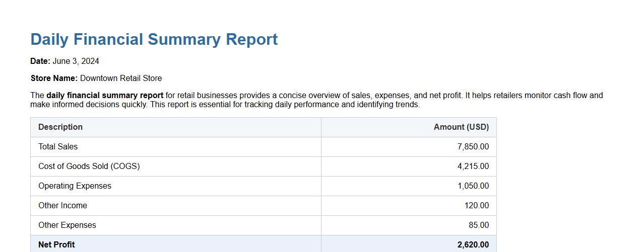 daily financial summary report for retail businesses image preview