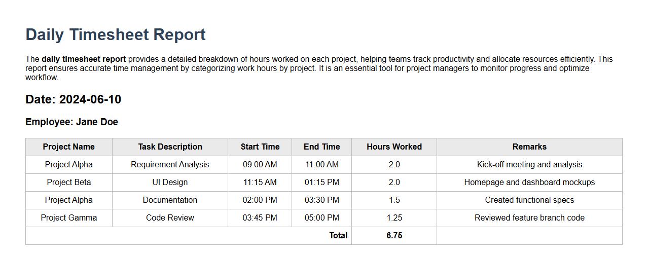 daily timesheet report with project wise hours image preview
