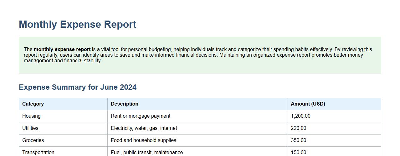 monthly expense report for personal budgeting image preview