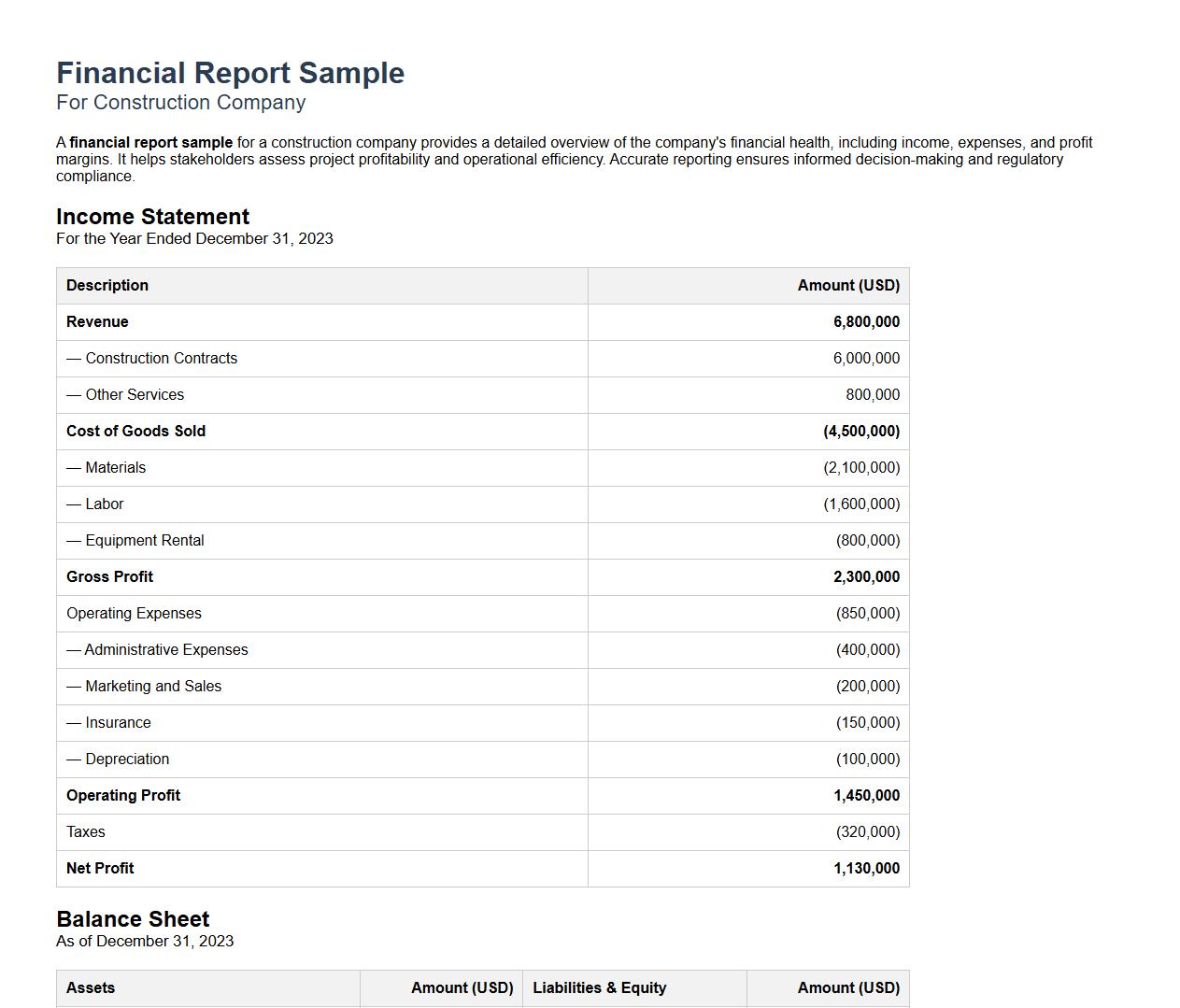 Financial report sample for construction company image preview