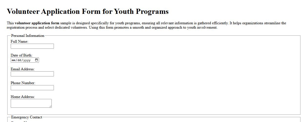 Volunteer application form sample for youth programs image preview