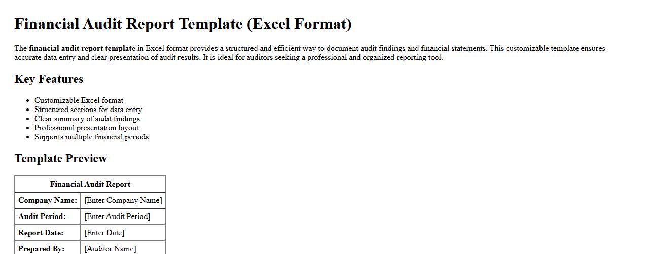 Financial audit report template in excel format image preview
