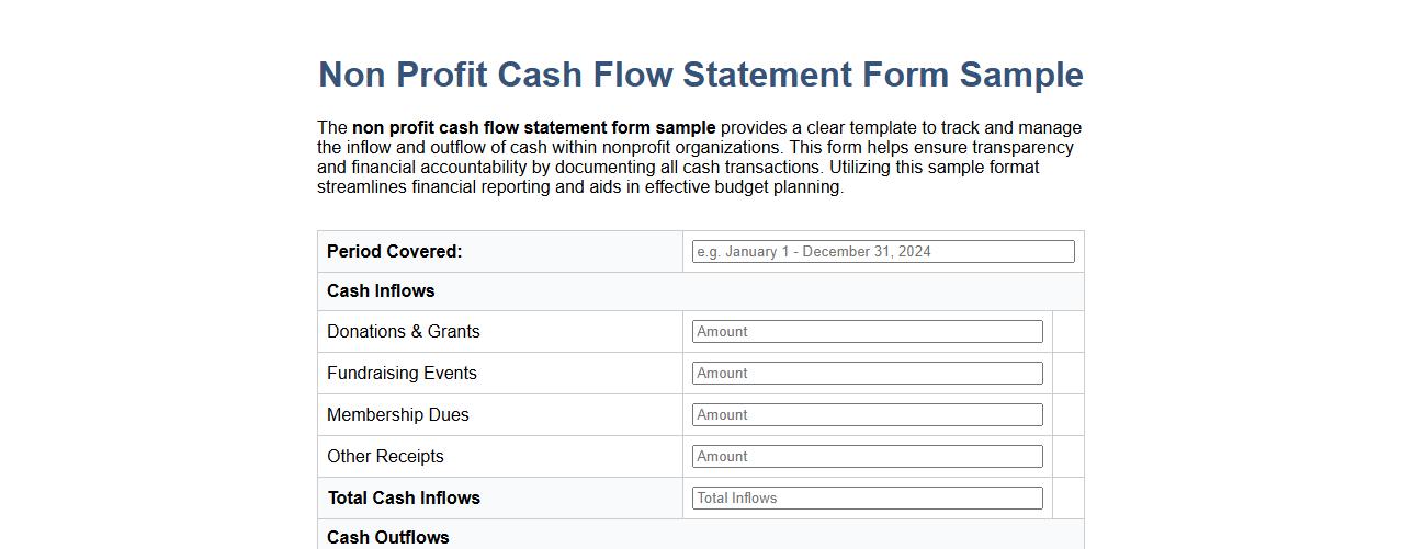 non profit cash flow statement form sample image preview