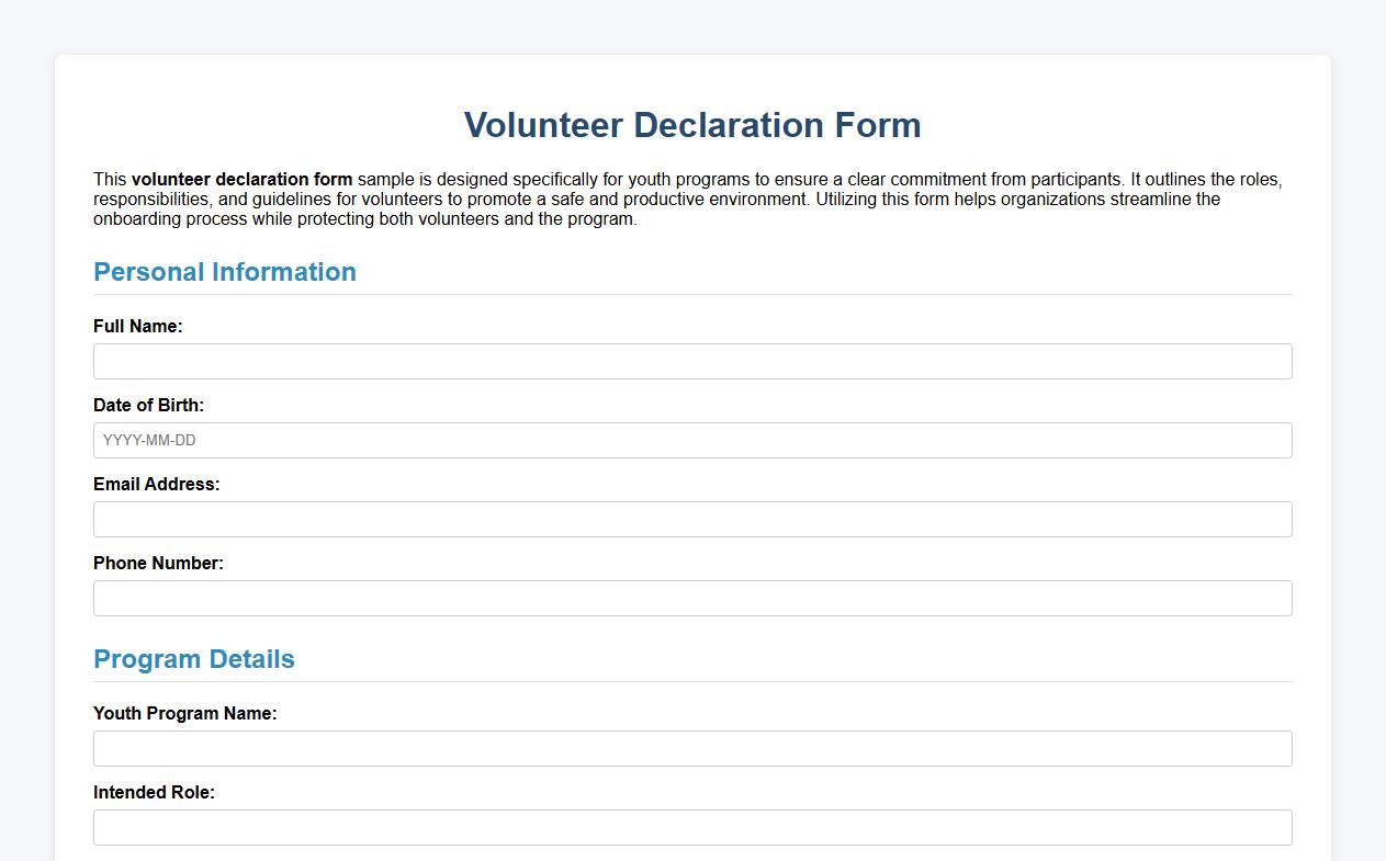 Volunteer declaration form sample for youth programs image preview