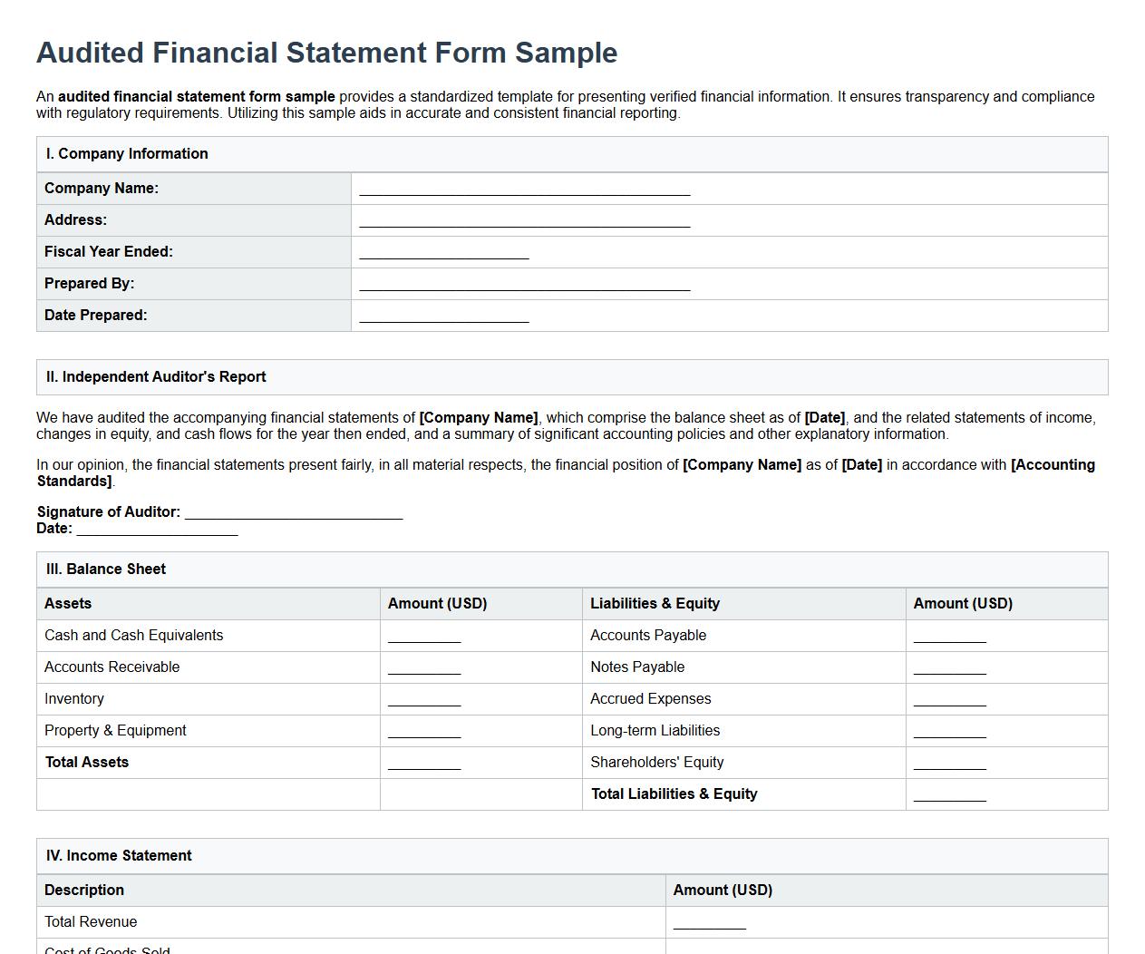 audited financial statement form sample image preview