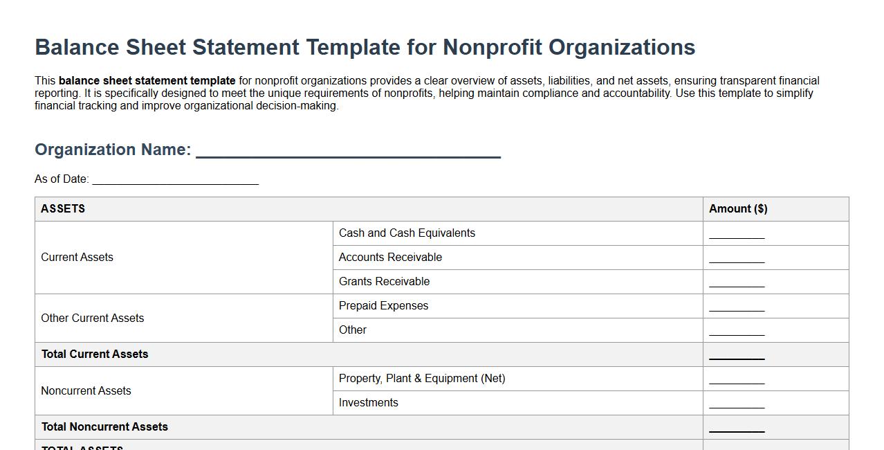 Balance sheet statement template for nonprofit organizations image preview