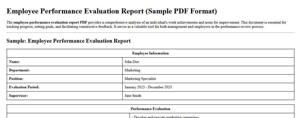 employee performance evaluation report pdf image preview