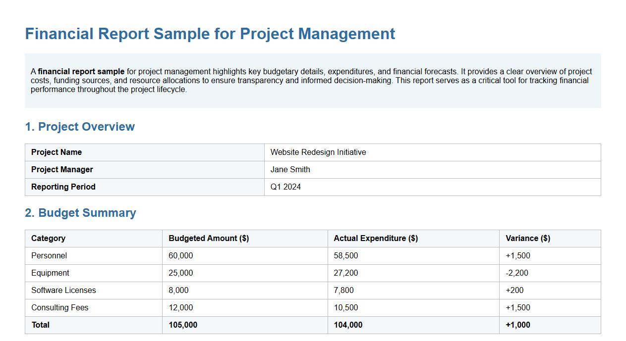 Financial report sample for project management image preview