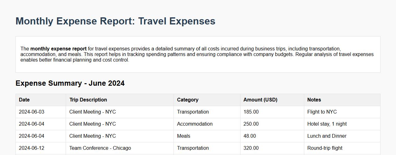 monthly expense report for travel expenses image preview