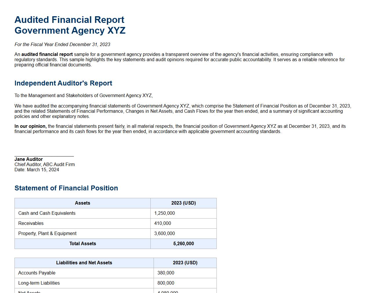 Audited financial report sample for government agency image preview
