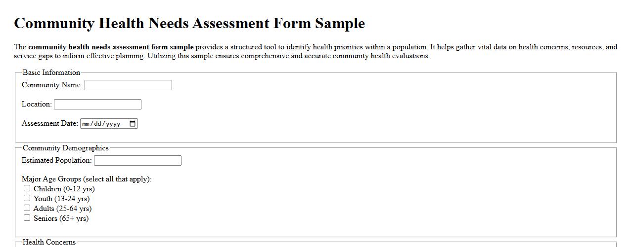 Community health needs assessment form sample image preview