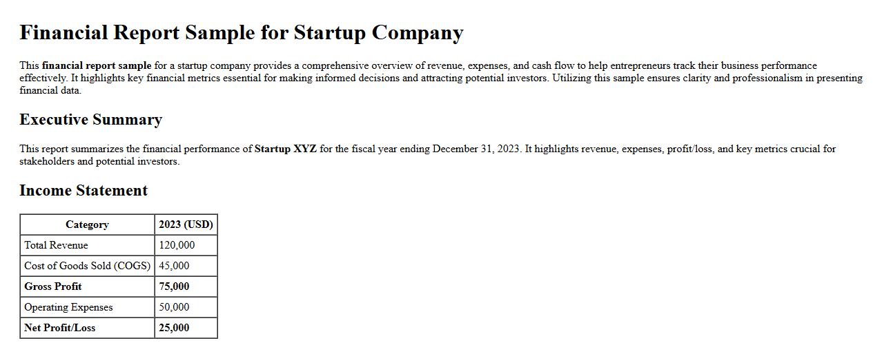 Financial report sample for startup company image preview