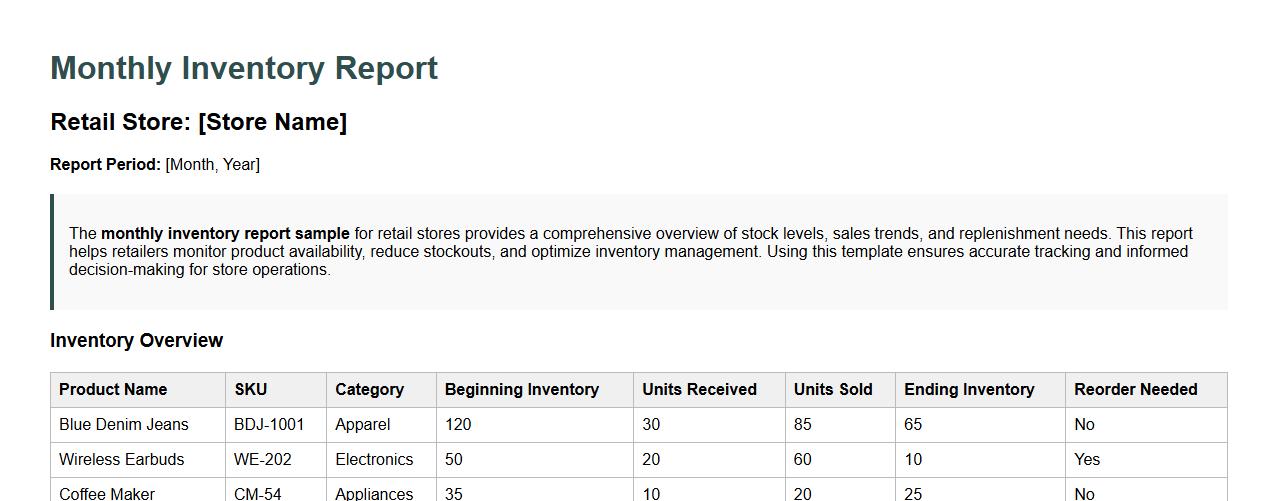 monthly inventory report sample for retail store image preview