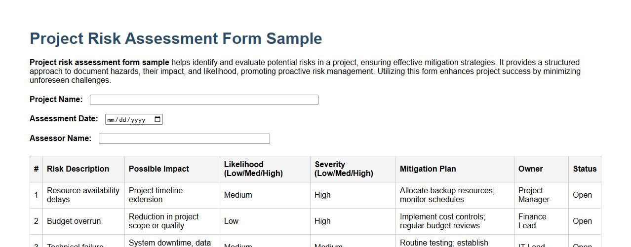 Project risk assessment form sample image preview