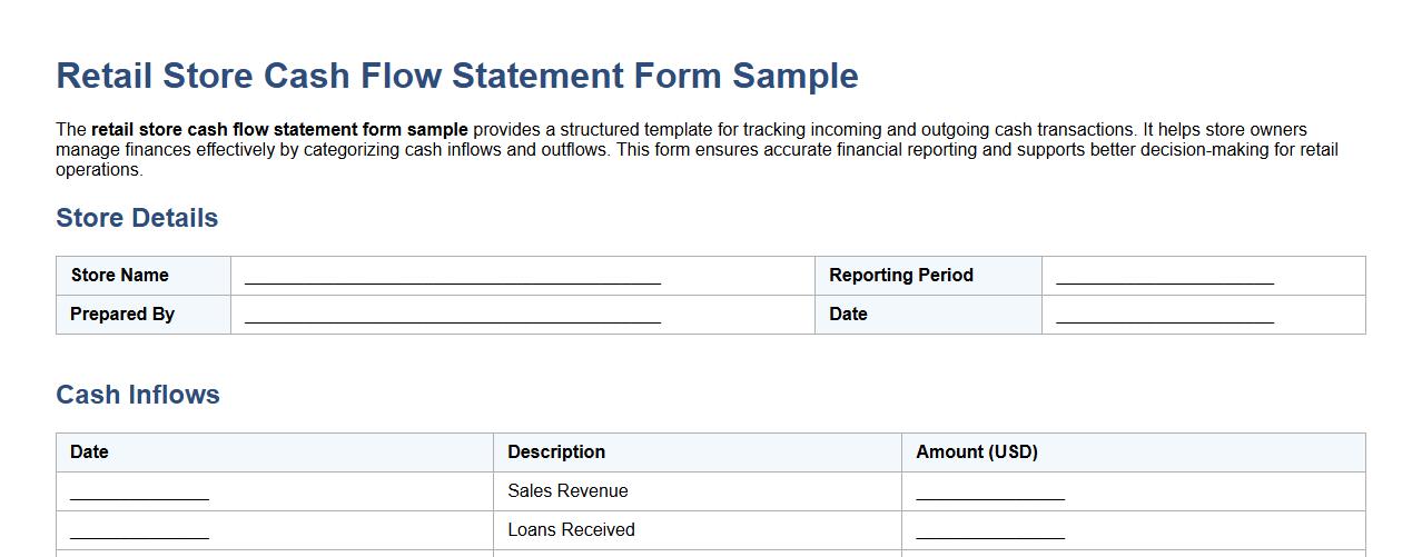 retail store cash flow statement form sample image preview