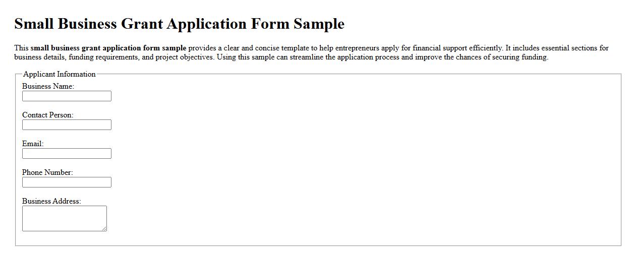 Small business grant application form sample image preview
