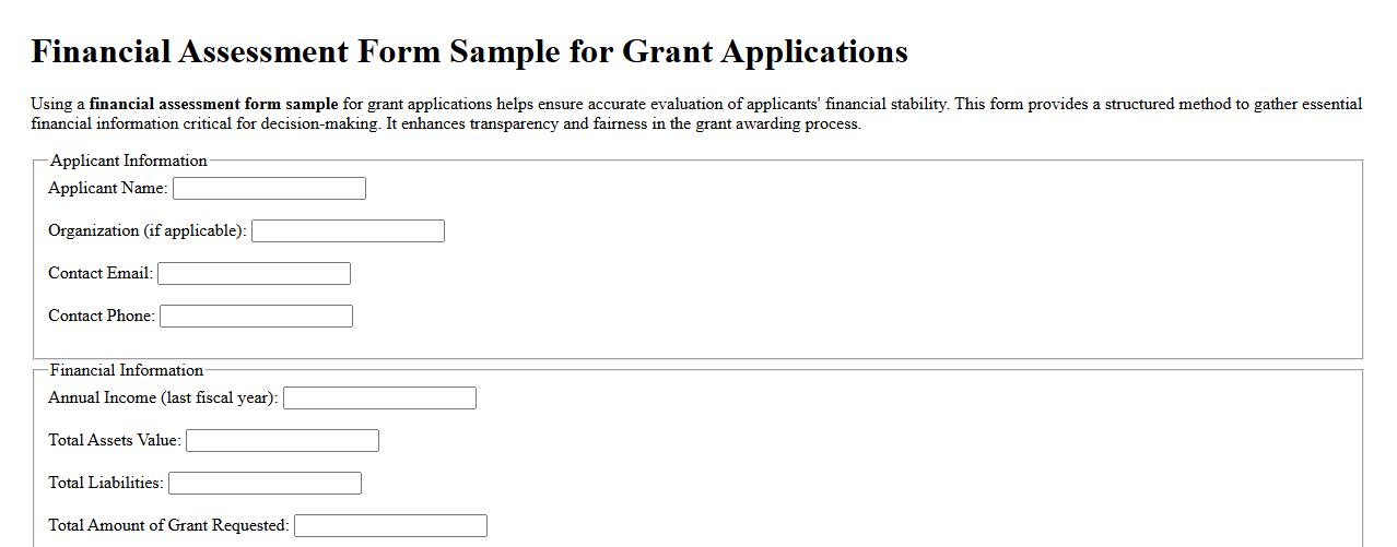 Financial assessment form sample for grant applications image preview