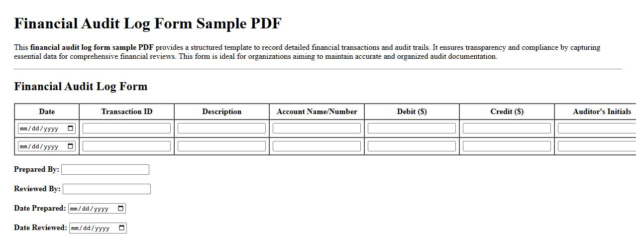financial audit log form sample PDF image preview