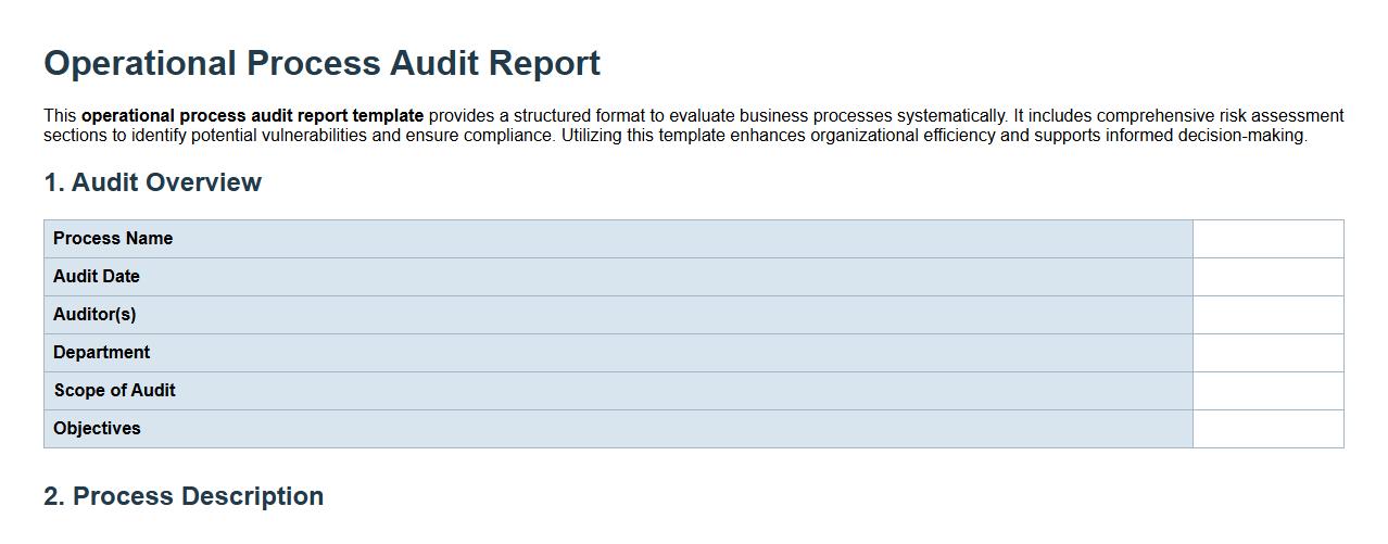 Operational process audit report template with risk assessment image preview