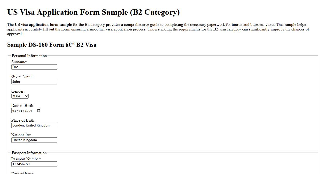 US visa application form sample for B2 category image preview